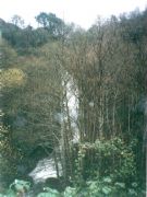 Chandrexa de Quixa. Petn, Orense
